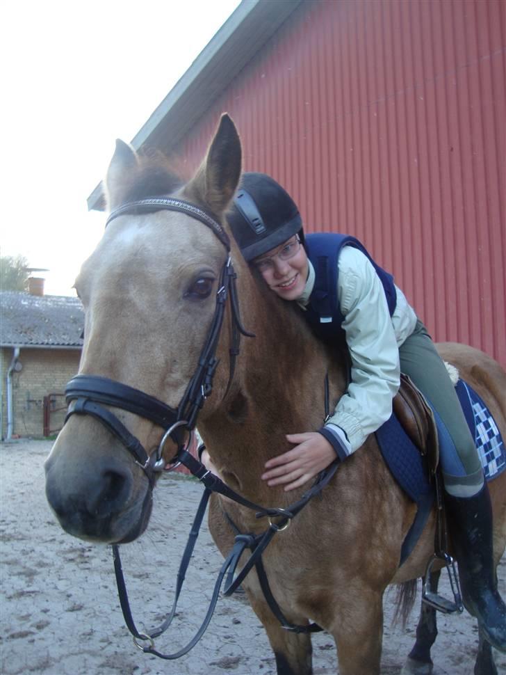 Connemara E Alouette Klubmester' 10 billede 10