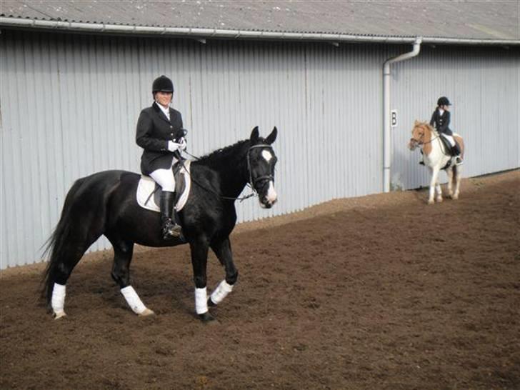 Anden særlig race Baloo R.i.P stjerne - stævne d. 11/10-09 på udebanen.. billede 9