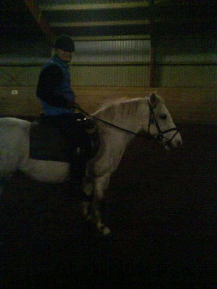 Anden særlig race Nunu - Første gang jeg red ham.  billede 14