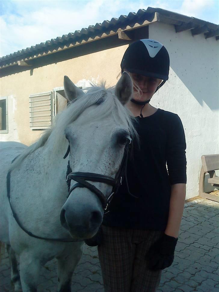 Anden særlig race Nunu billede 15