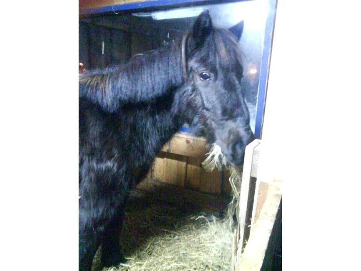 {{currentPhoto.altText}} billede {{currentPhoto.number}}