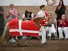 Shetlænder Vestbjergs Tabita - foto af Kirsten Ellebæk   kåring 2009