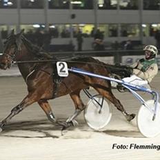 Traver Malaco Baunehøj