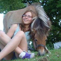 Miniature Mini Bandit