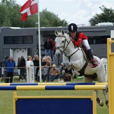 Anden særlig race Irish Pleasure *solgt*