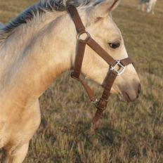 DSP Sparkling Diamond