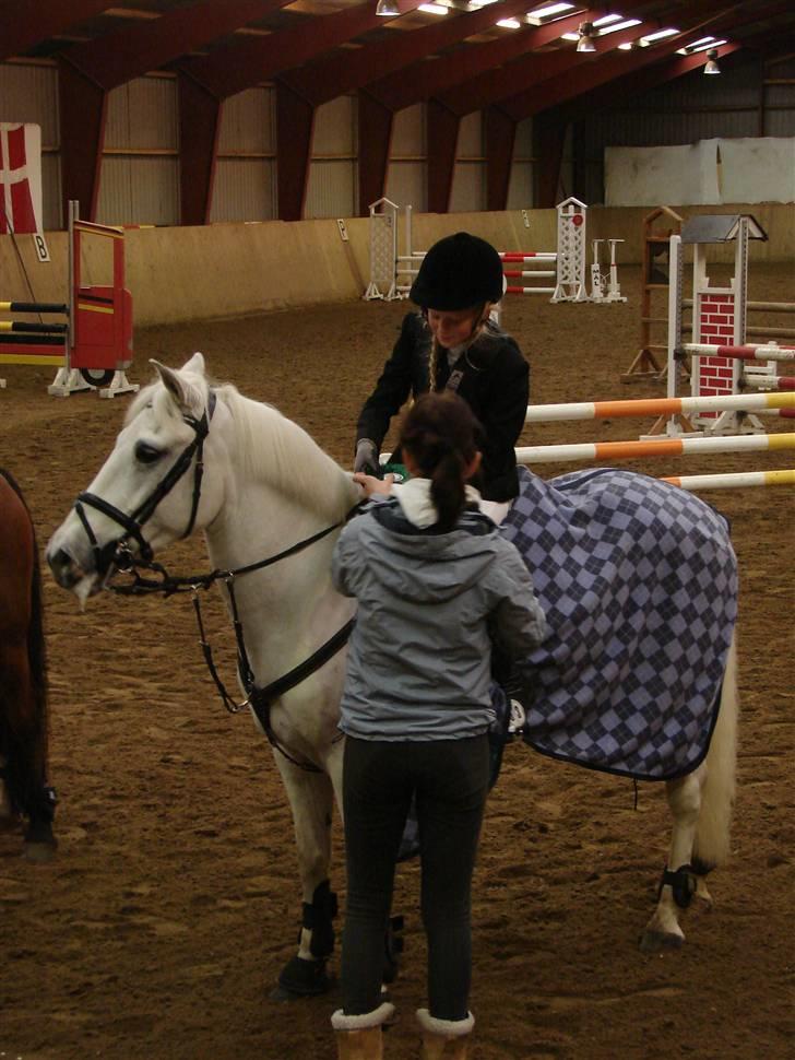 Anden særlig race Speedy Gonzales SOLGT! billede 17