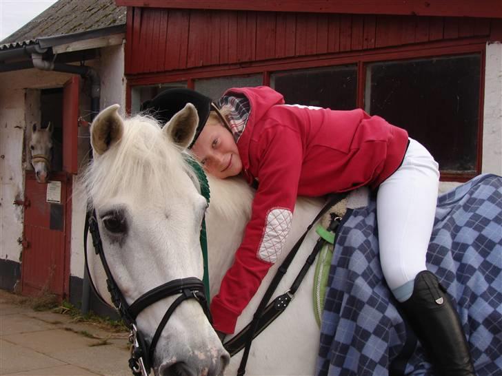 Anden særlig race Speedy Gonzales SOLGT! billede 18