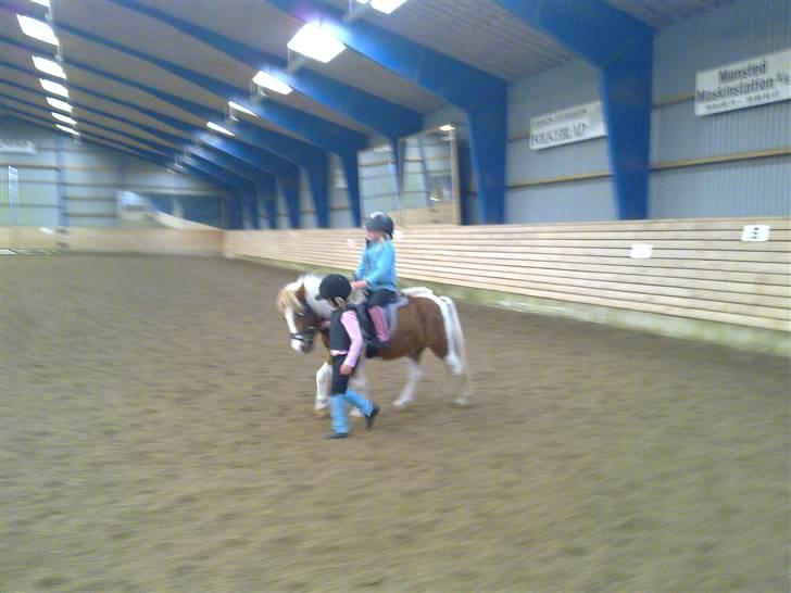 Anden særlig race Tulle (solgt) - Pernille prøverider sin nye pony og den stolte søster hjælper til  billede 2