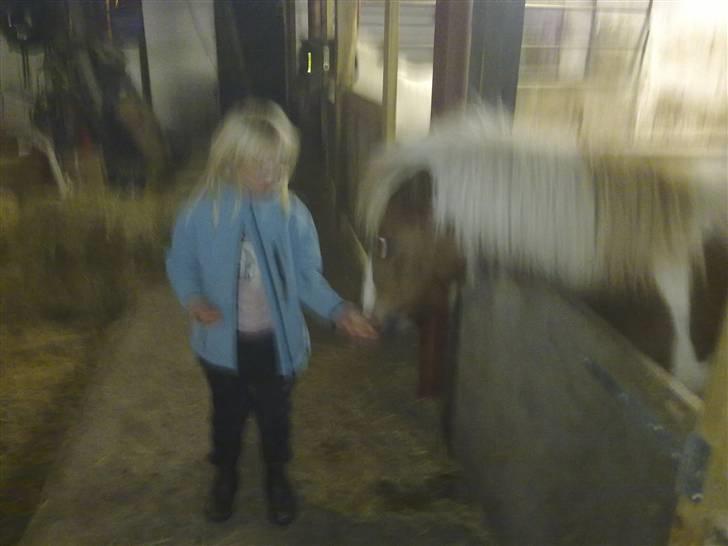 Anden særlig race Tulle (solgt) - Uhm det vil den vist gerne  billede 7