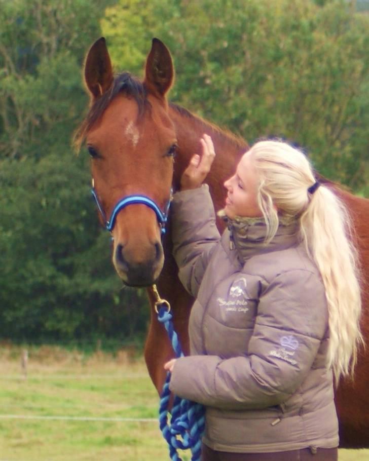 Dansk Varmblod Holstegårds Picachia  - Pippa - Oktober 2009 - Hendes nye hjem. billede 12