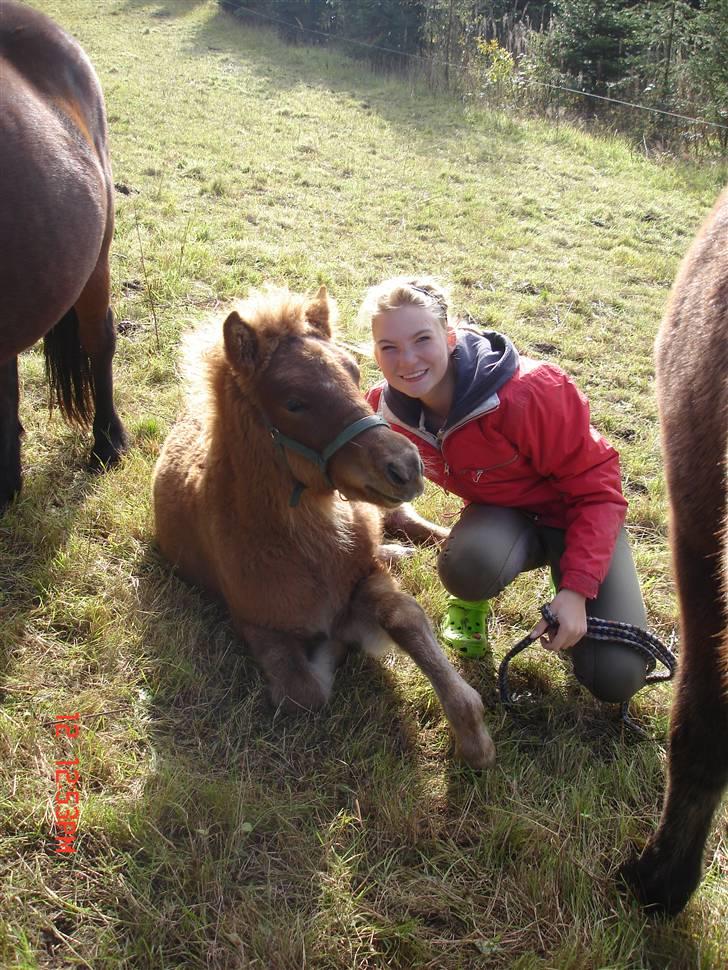 Islænder Saga fra Bundgaarden billede 14