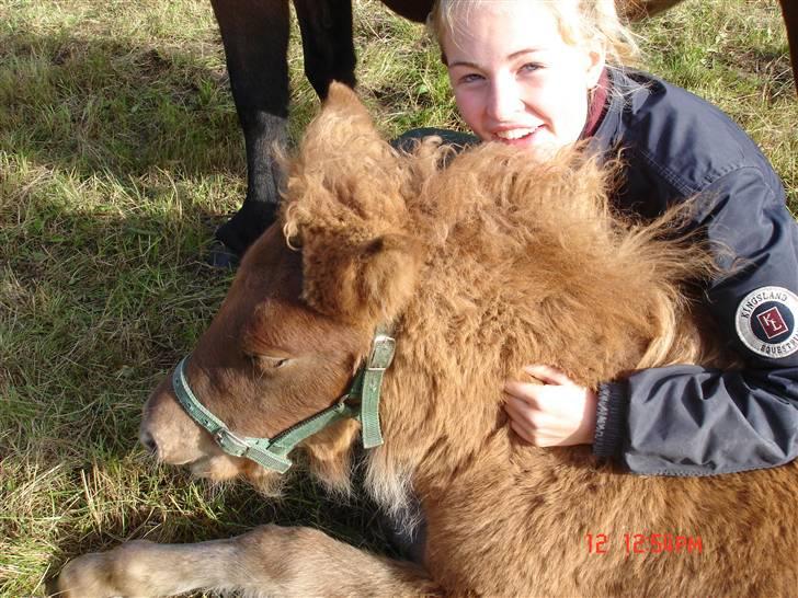 Islænder Saga fra Bundgaarden billede 15