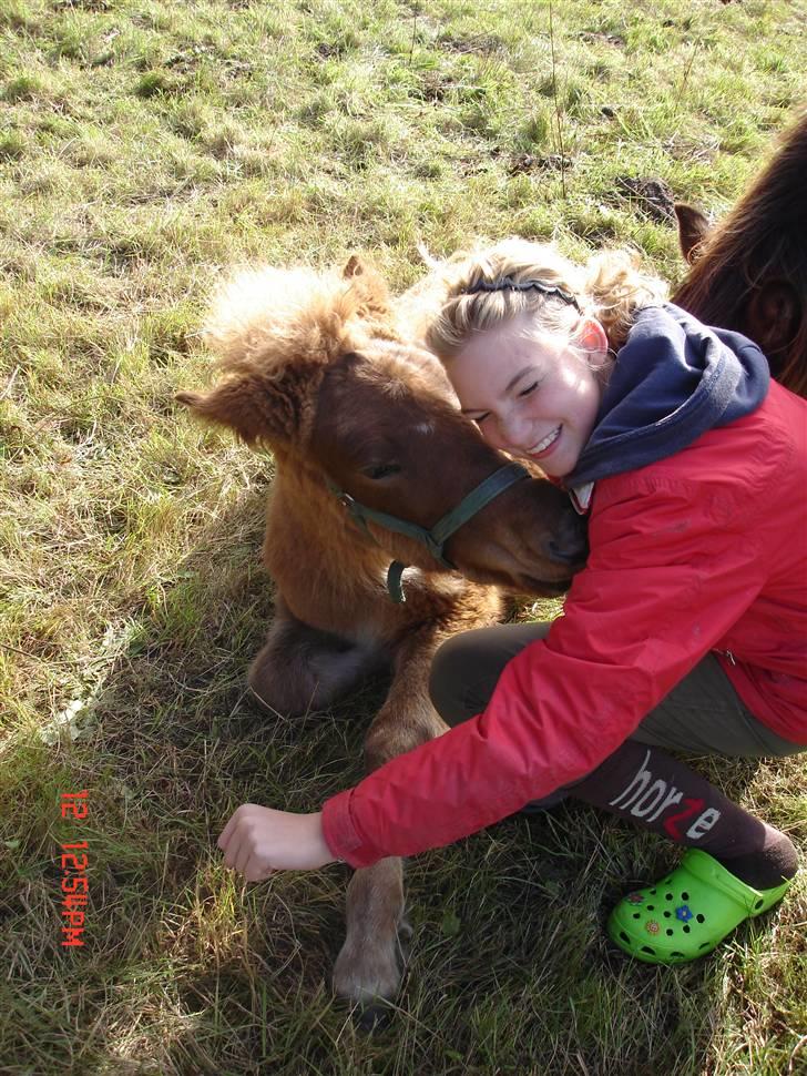 Islænder Saga fra Bundgaarden billede 13