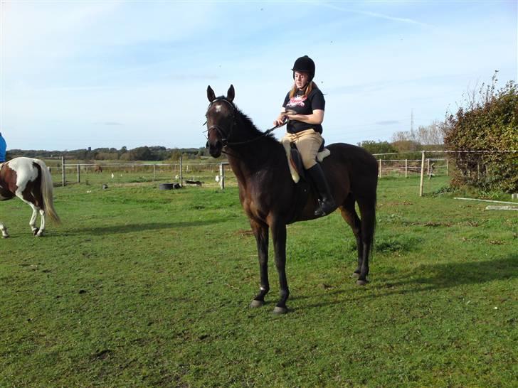 Anden særlig race Cherie Star Walker-solgt billede 11