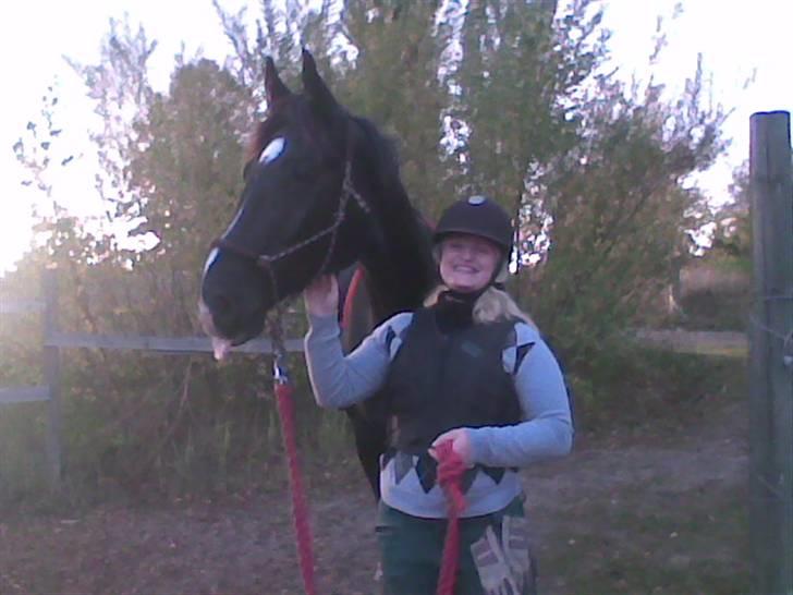 Dansk Varmblod Amazing Magic - Magic... man skal smile til fotografen... ikke række tunge af hende... :-D billede 14