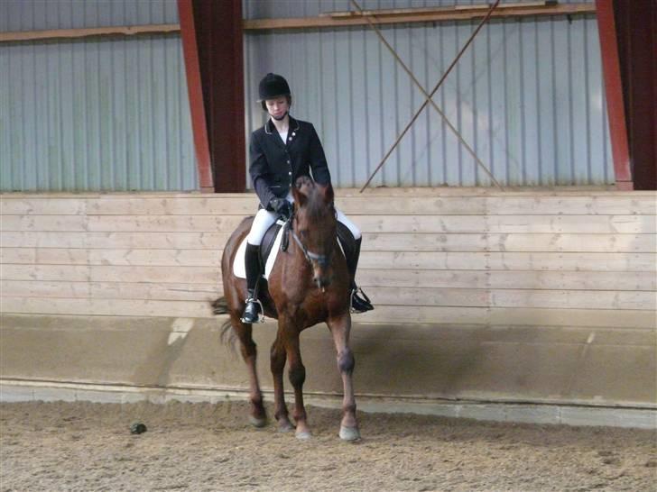 Anden særlig race Malibu - babyen og mig    :´D billede 6