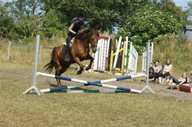 Anden særlig race Malibu - my babe:´D <3 billede 8