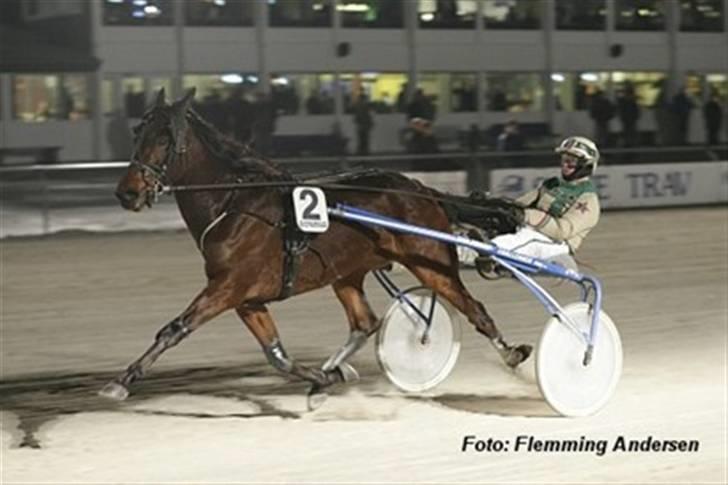 Traver Malaco Baunehøj billede 3