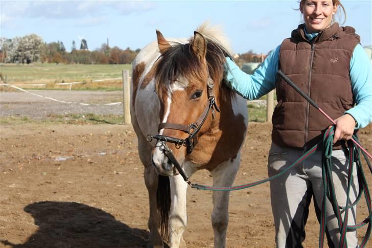 Anden særlig race Tristan (Passer) - Smukke Tristan og vores ridelærer Malou billede 3