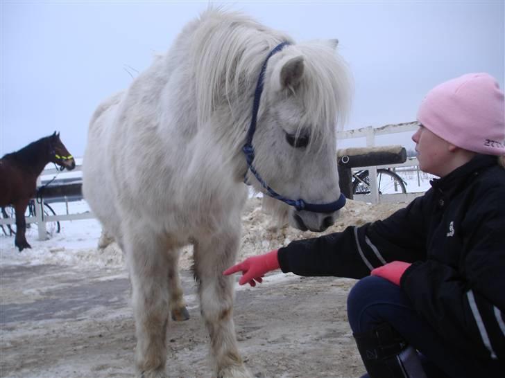 Anden særlig race Skimmel †  miss you † - 10) Foto: Nanna  billede 10