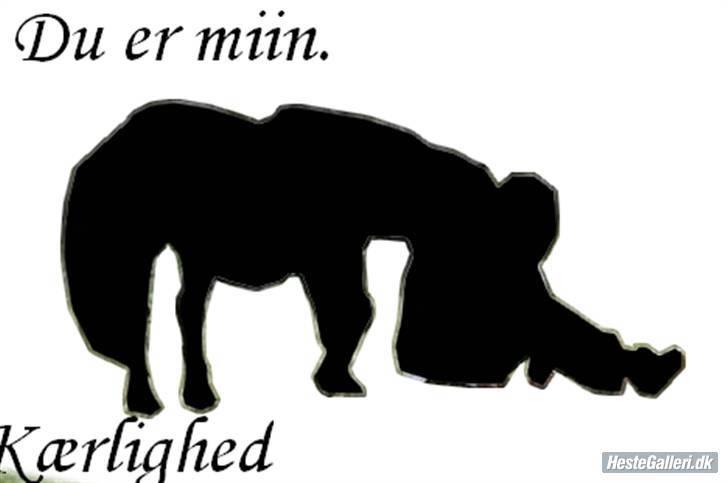 Dartmoor Guldklump<33   /Solgt/ - lOvE yOu, GuLdKuMp<3<3<3<3:) billede 12