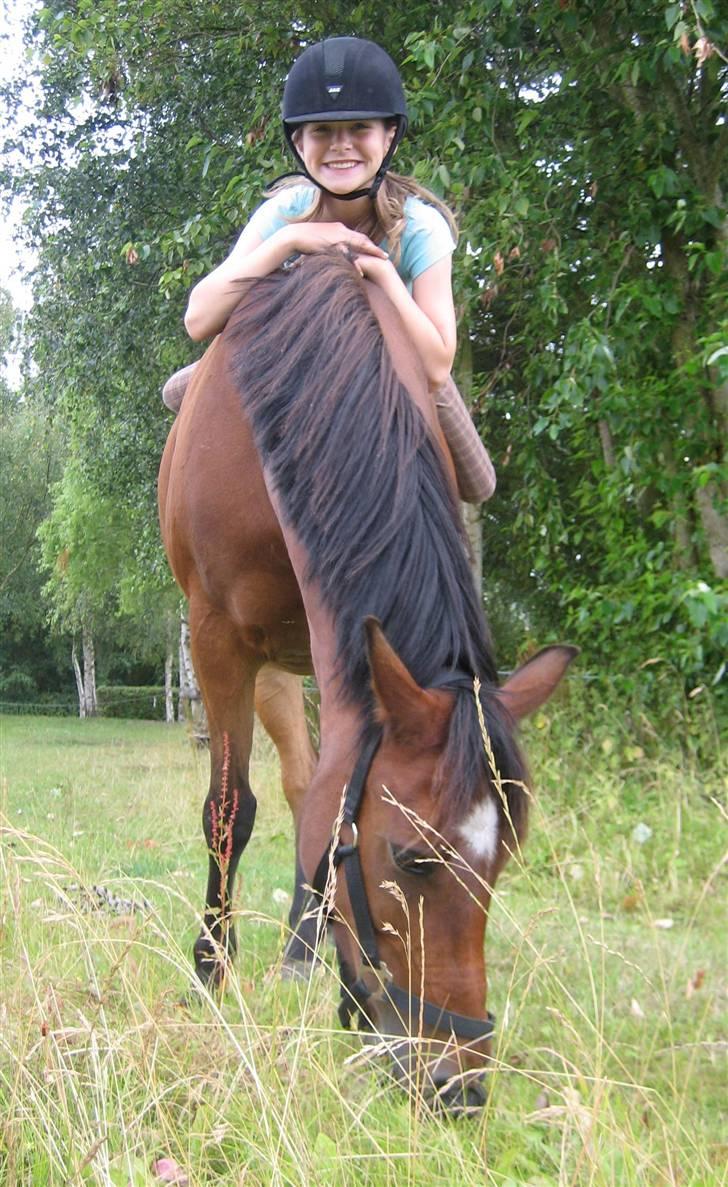 Anden særlig race Mr. Matrix - tidligere ejere ved ikk hvad de er gået glippe af! <3 elsker den pony :D billede 15