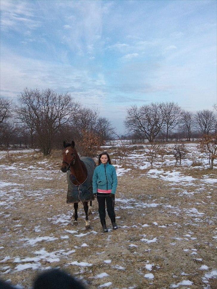 New Forest Thrustfull - Mig og Thrusty er ude og gå en tur ;) billede 5