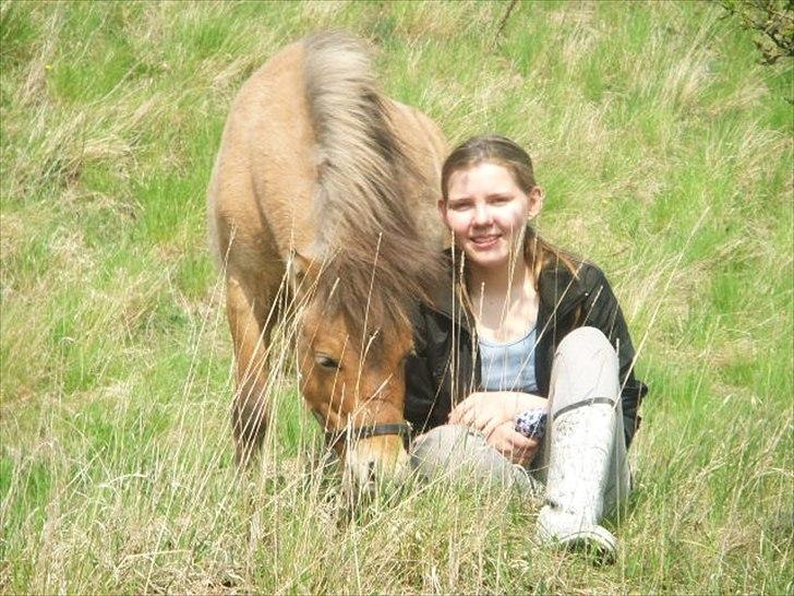 Miniature Mini Bandit - Jeg er sej !!  billede 2