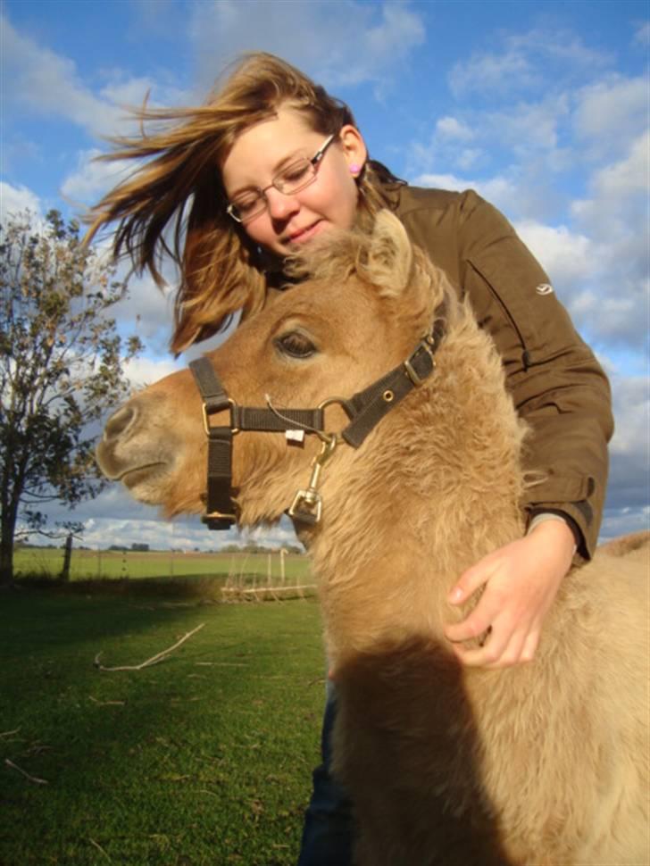 Miniature Mini Bandit - Der er intet så godt, som at blive nusset!! :D billede 6