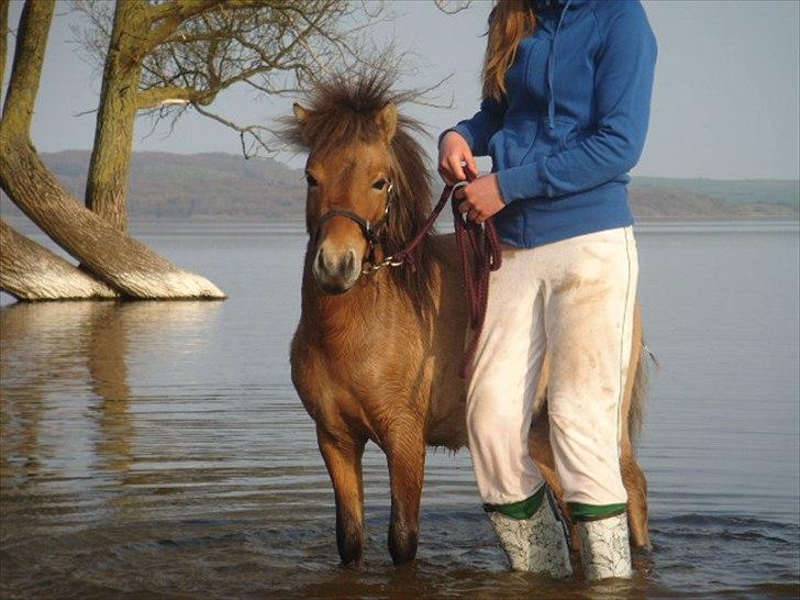 Miniature Mini Bandit - Smukke Mini i vandet :D<33 billede 9