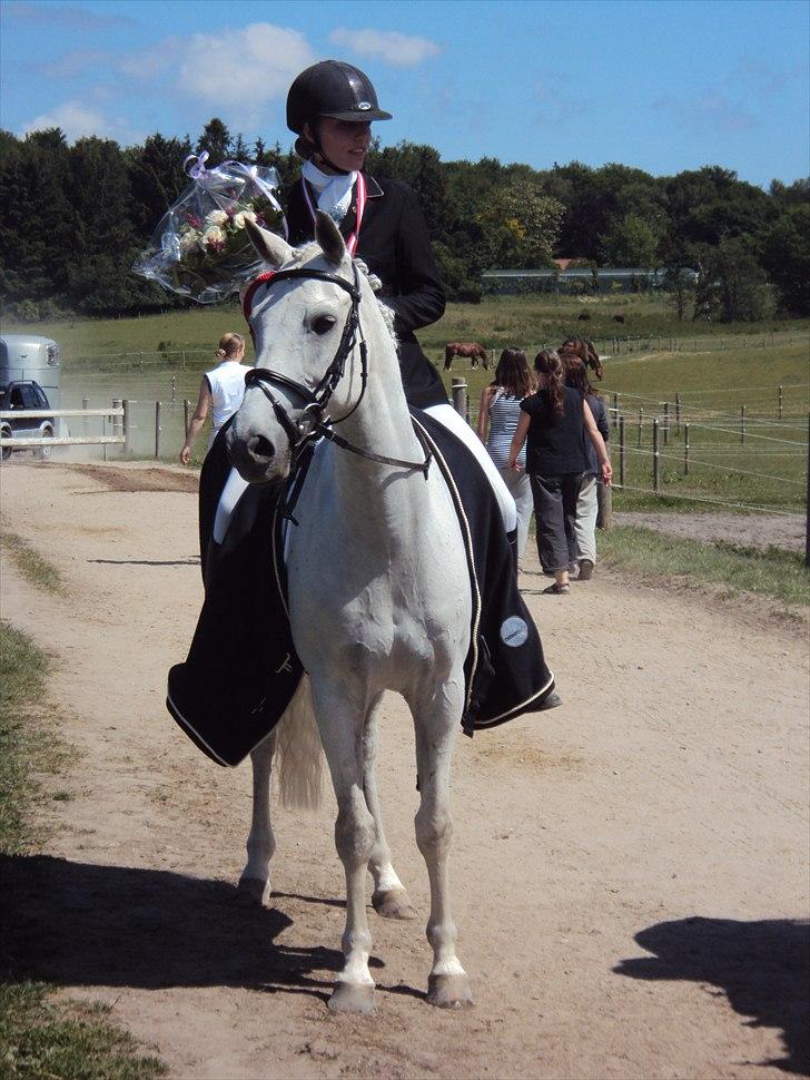 Belgisk Sportspony Decision (Solgt) - Velkommen til mit lille vidunders profil... Smid lige en kommentar og bedømmelse inden i går :D VINDER AF DISTRIKTSMESTERSKABERNE 2010 Foto: Far billede 1