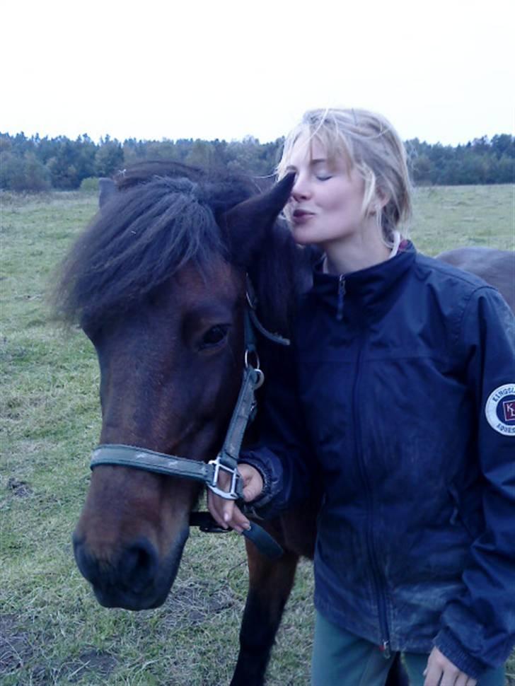 Islænder Brella - Du er så smuk i dag.. Tror jeg jeg hvisker :P billede 3