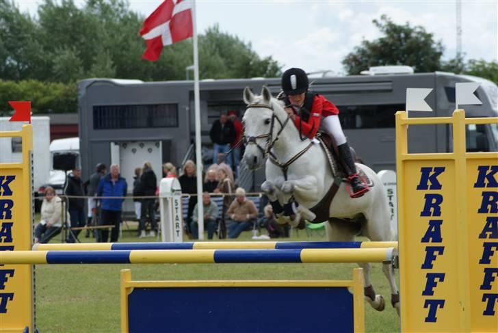 Anden særlig race Irish Pleasure *solgt* - DM for hold<33 billede 1