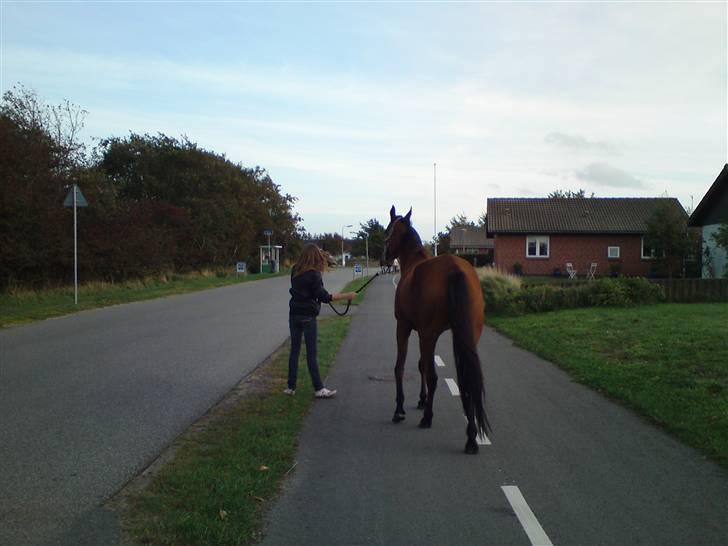 Arasier kana <3 - Død :( billede 16