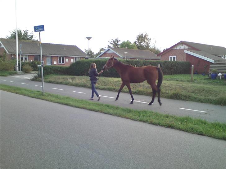 Arasier kana <3 - Død :( billede 19