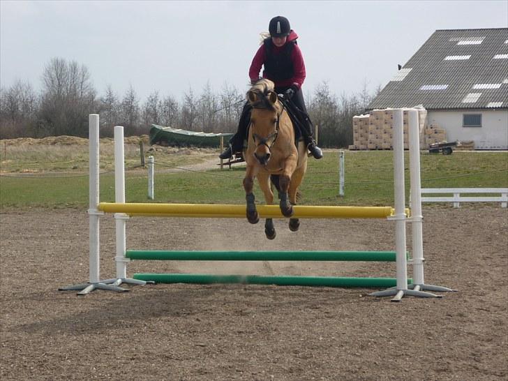 Anden særlig race Sandy<3 R.I.P <3 - Springer 90cm juhu;D billede 13