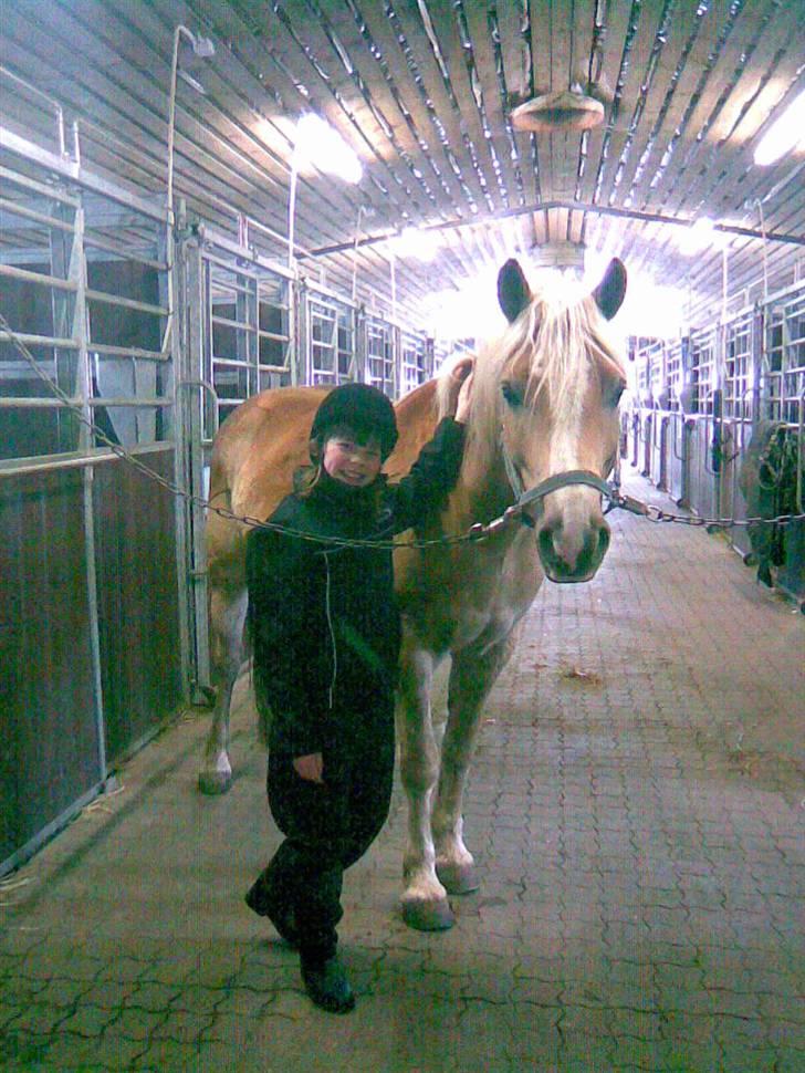 Haflinger Bailey (ejes af HDR) - Mig og Bailey i stalden på Hedensted rideskole lige før ridetimen :) billede 3