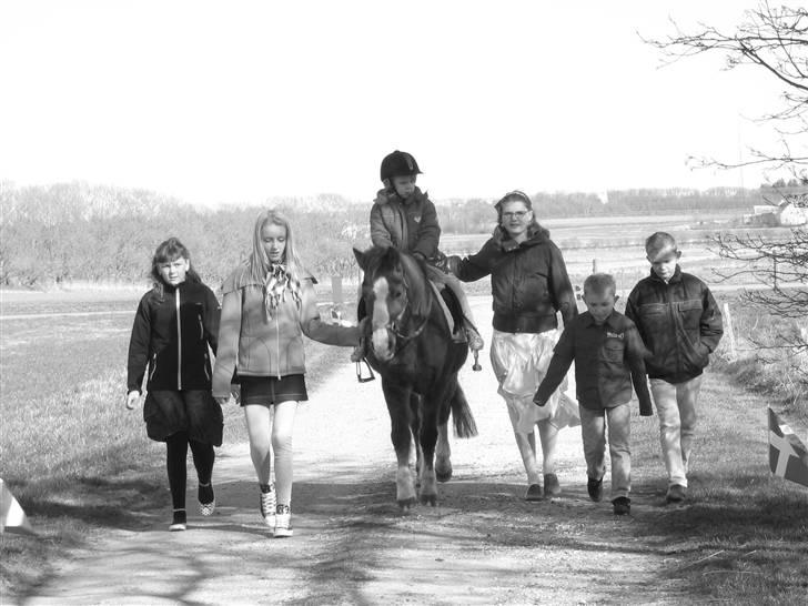 Anden særlig race Flicka - Flicka, Vi elsker dig jo alle sammen.........<333  billede 12