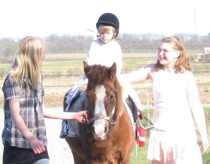 Anden særlig race Flicka - Selv de små holder af at ride på dig, søde pige........ <333 billede 13