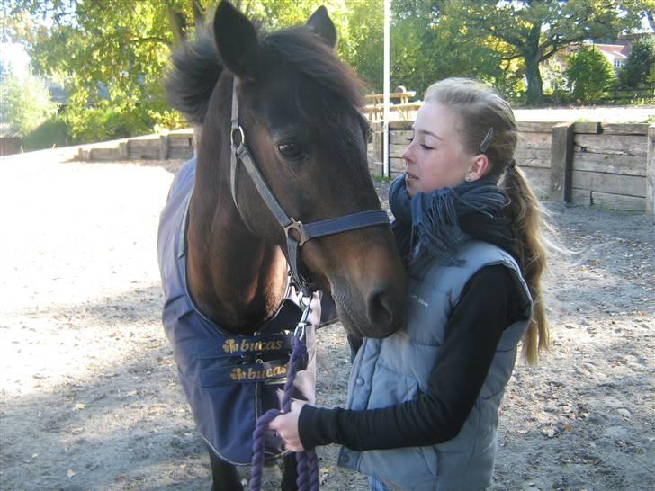 Anden særlig race Pennie - Gl. part - Mig og Pennie på ridebanen:D. billede 5
