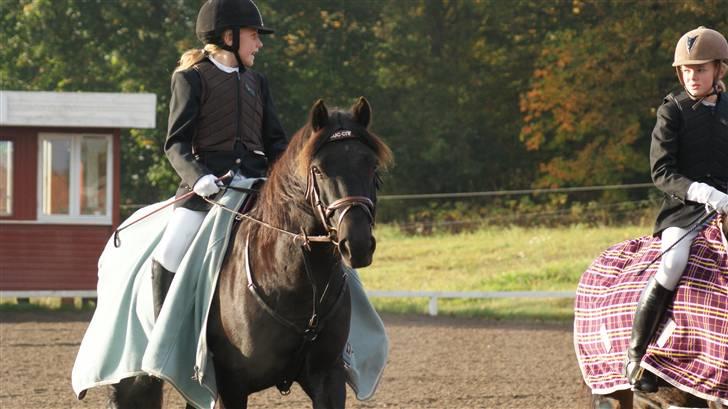 Anden særlig race Gucci R.I.P. HBP<3 - Du passede på mig - og gav mig den ro ingen andre kunne give mig! billede 13