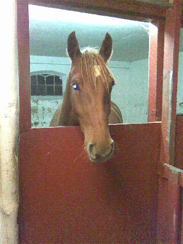 Frederiksborg Lepetit - Mor kom nu med det mad nå billede 1