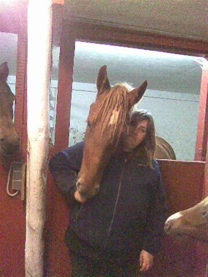 Frederiksborg Lepetit - he he ved godt du har en gulerod i hånden billede 2