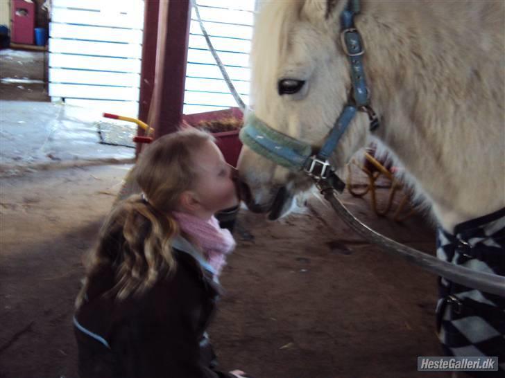 Anden særlig race Mickey<3  - Mys! Mickey EEEEEEEELSKER at give kys! billede 1