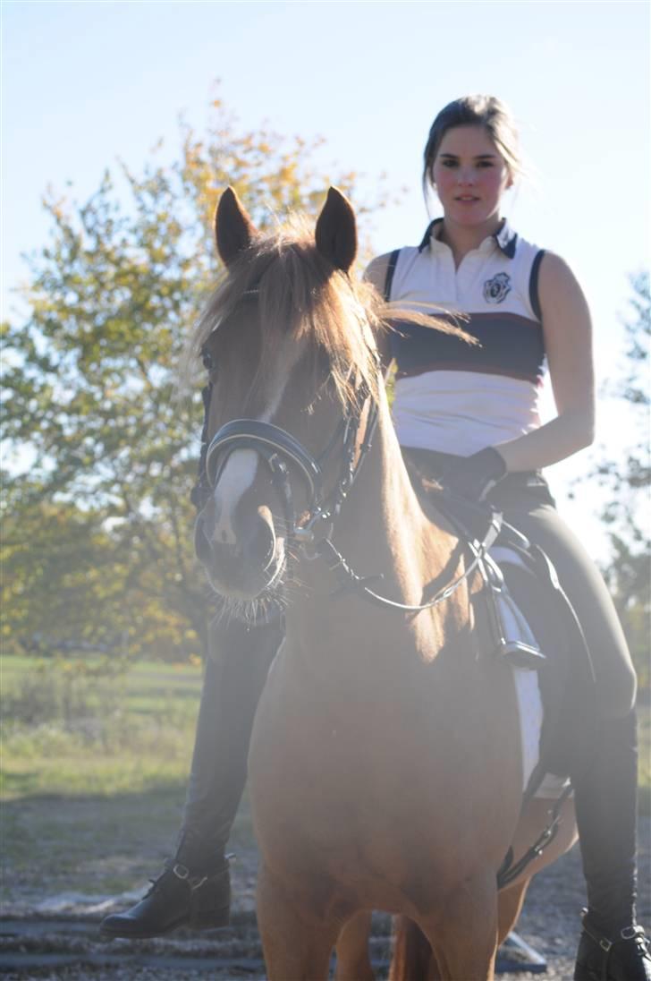 Anden særlig race magic fancy fancy(ik min) billede 20