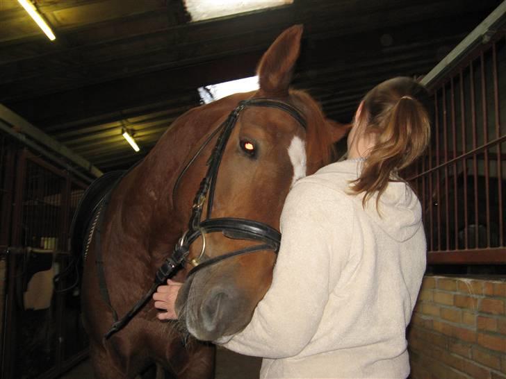 Anden særlig race Trigger (SOLGT) - Verdens største nussehoved billede 20