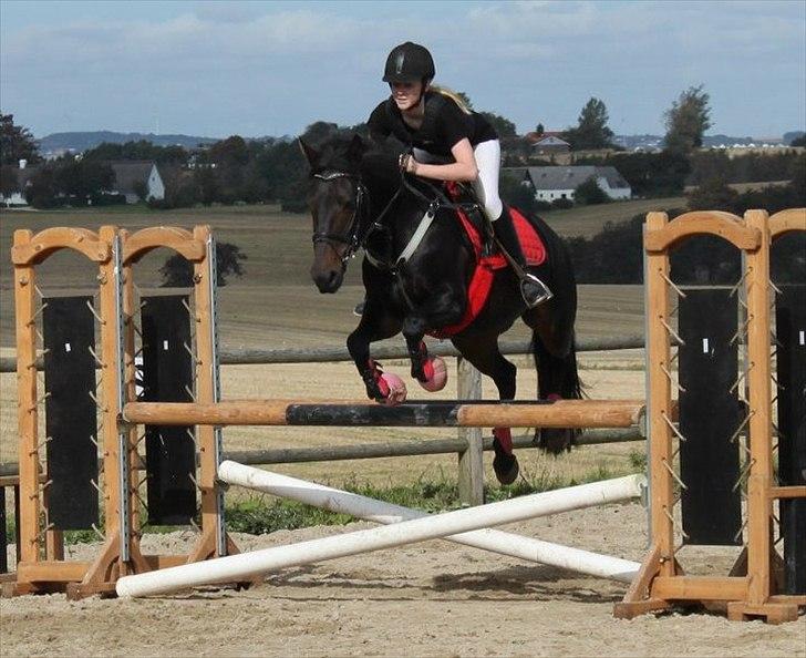 Anden særlig race Thyra - første LB ! billede 12