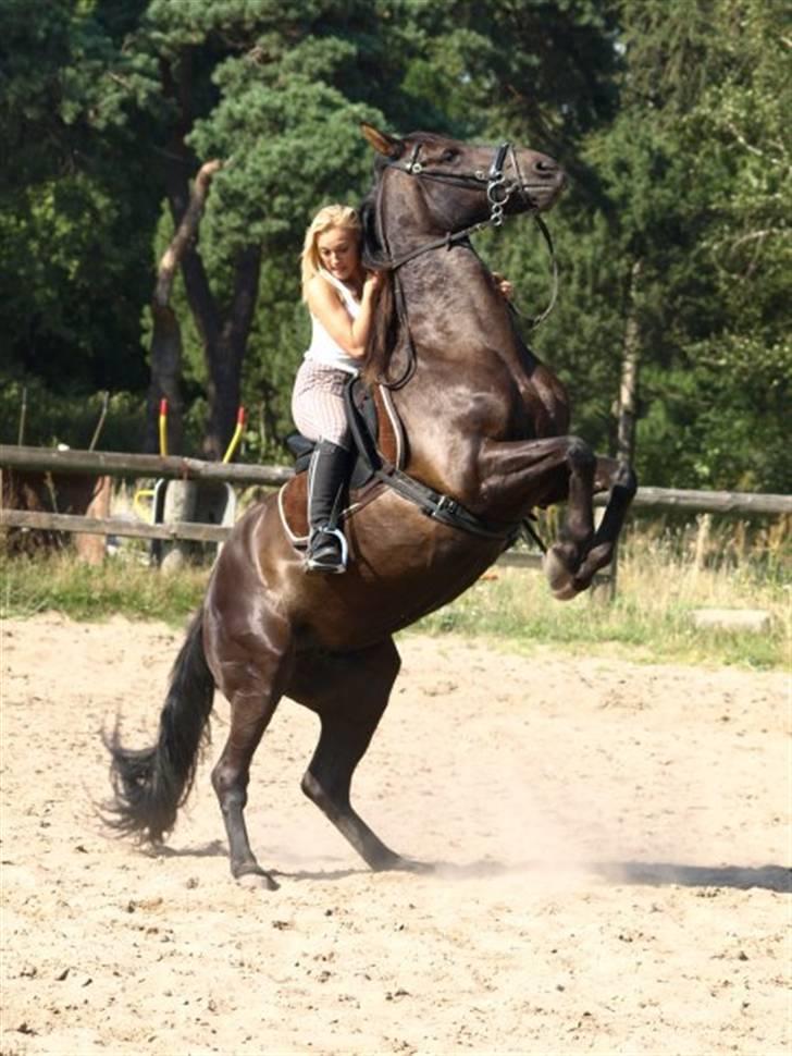 Anden særlig race Lisevangs Rosita.  - Velkommen til Rosita´s profil (;  billede 1