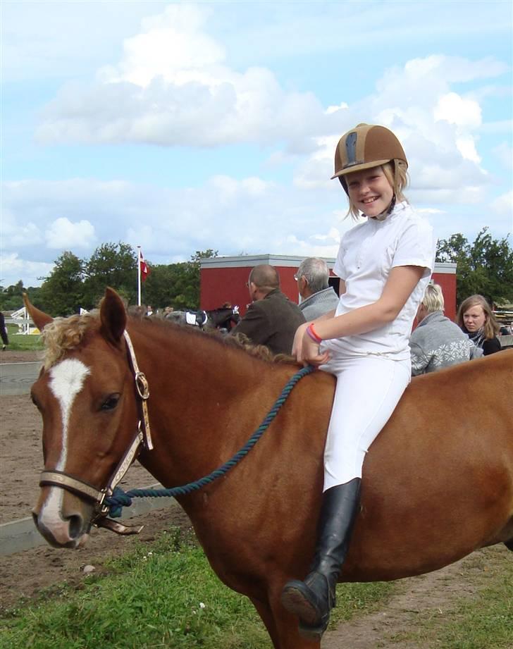 Anden særlig race Nikolaj - Hygge til stævne i LOR :) første gang jeg rad uden sadle og i grime på ham :) det var SÅ! fedt :D billede 5